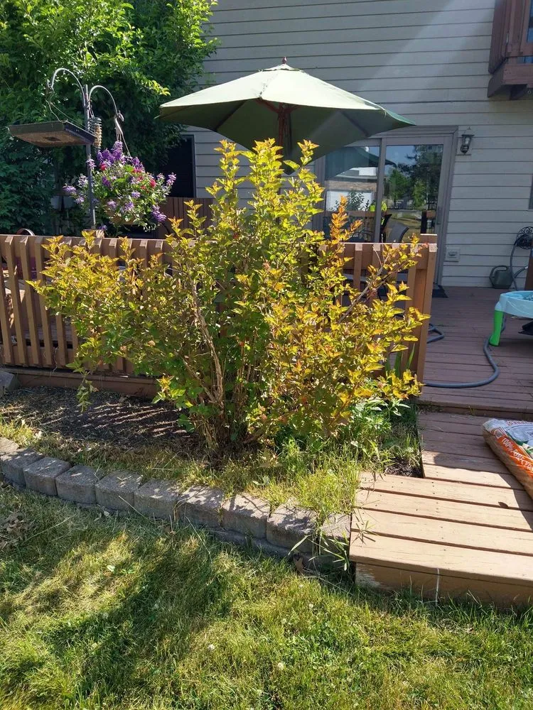 Custom yard cleanup service in Lake Station, IN - This & That Property Solutions