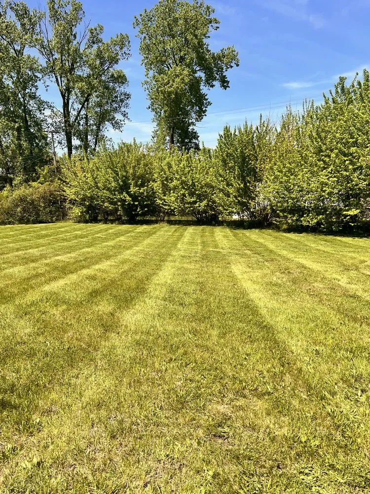 Trusted lawn mowing service for outdoor upgrades across Lake Station, IN - This & That Property Solutions