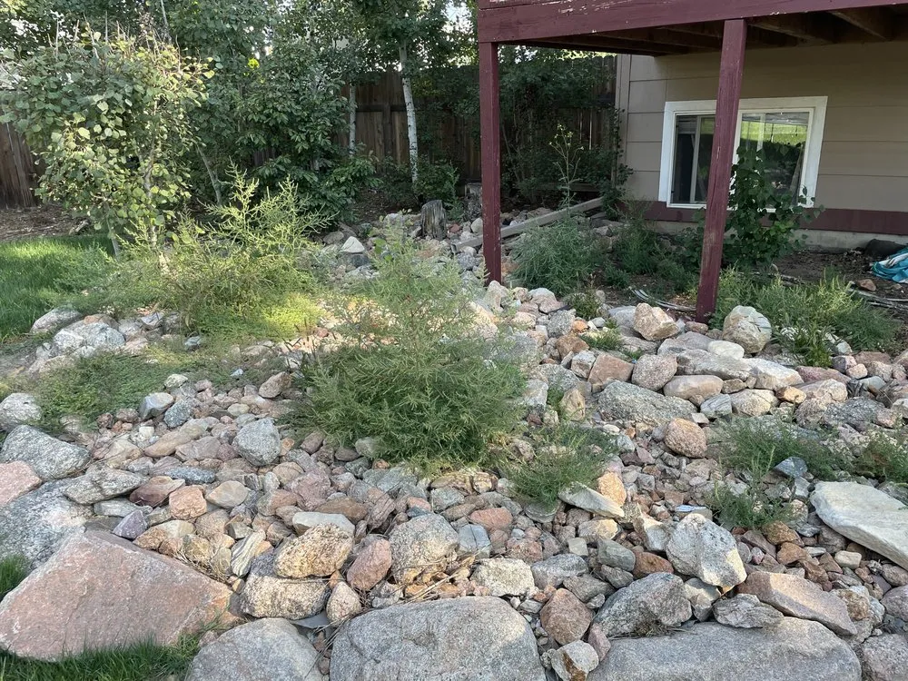 Professional outdoor landscaping experts serving Colorado Springs, CO - This And That