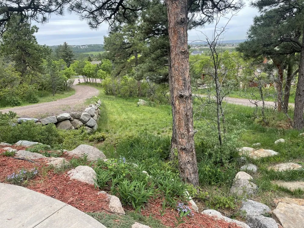 Affordable landscaping services in Colorado Springs, CO by This And That