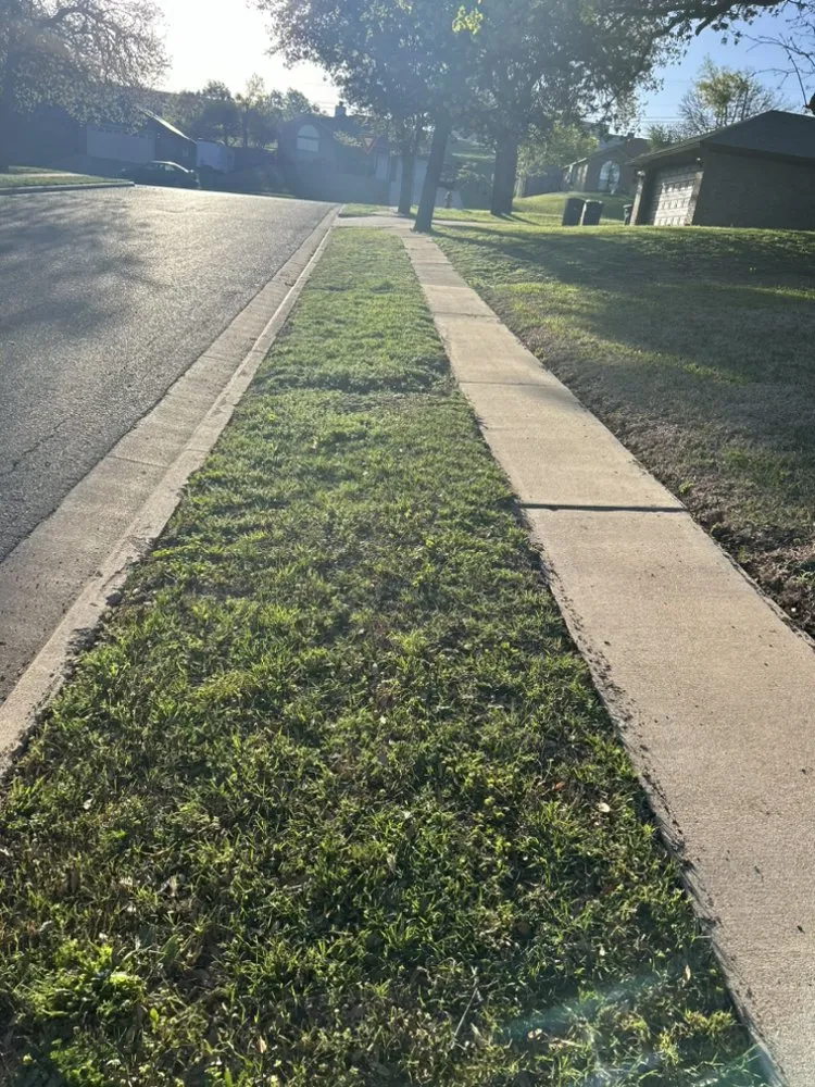 Affordable residential landscaping experts serving Copperas Cove, TX - This Guy’s Lawn Care