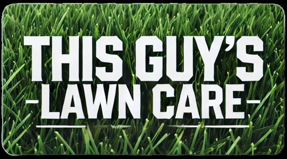 Custom landscape design in Oxford, IA by This Guy's Lawn Care