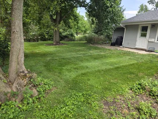 This Guy's Lawn Care