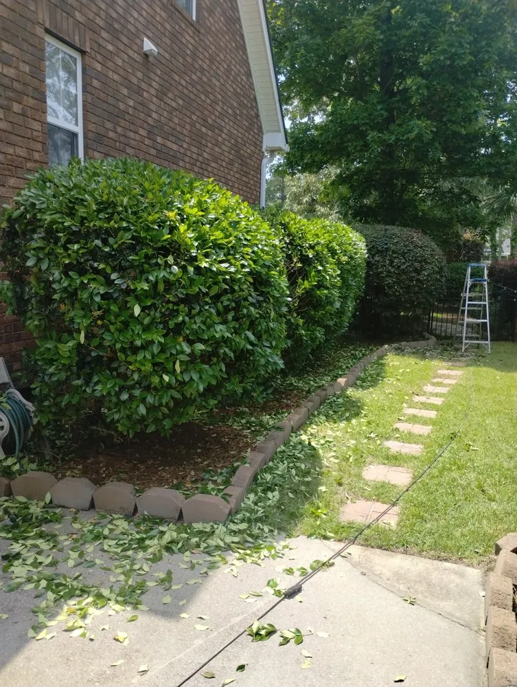 Professional landscape design in Ladson, SC by This Is How We Do It Yard And Home Maintenance
