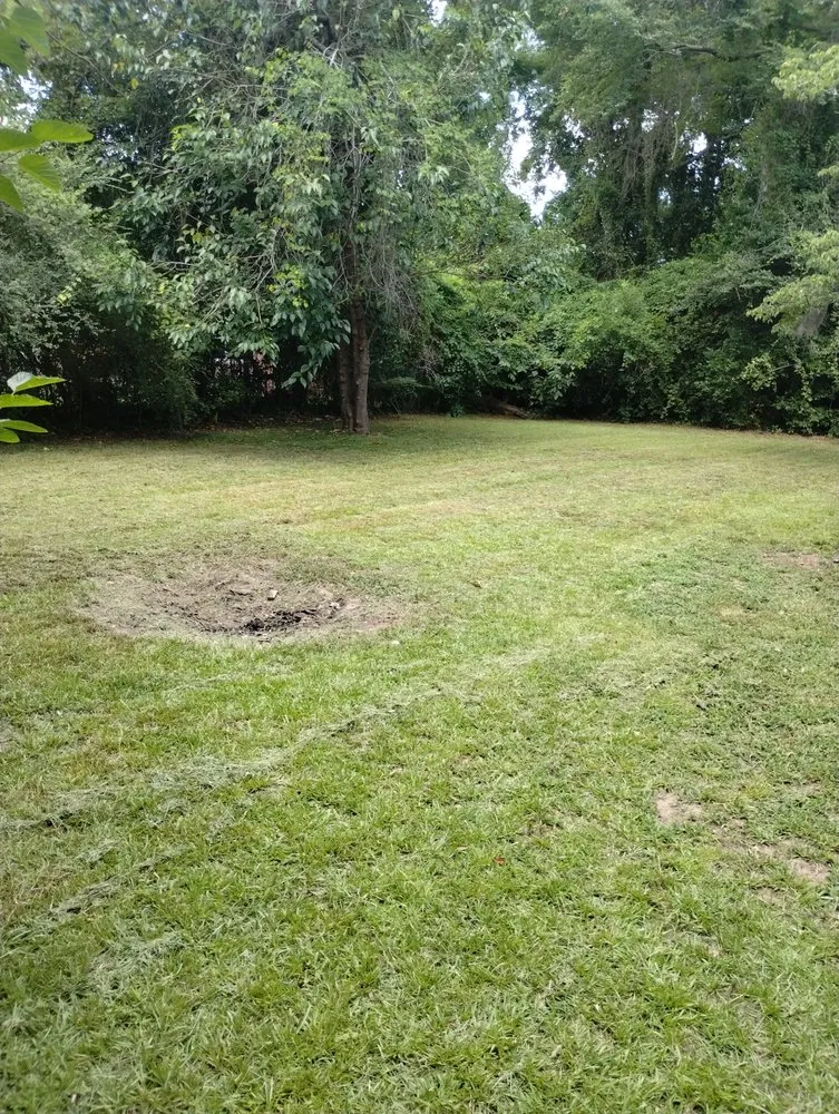 Affordable landscaping services in Ladson, SC - This Is How We Do It Yard And Home Maintenance