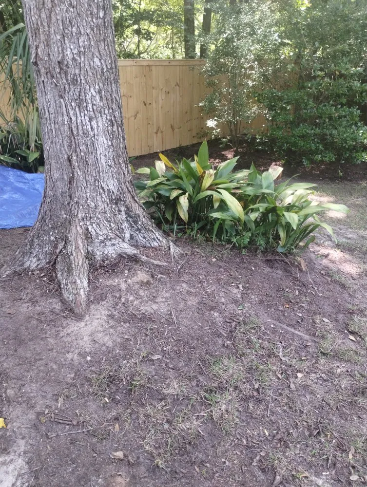 Affordable lawn care service for outdoor upgrades in Ladson, SC by This Is How We Do It Yard And Home Maintenance