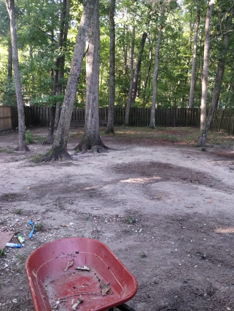 Expert landscaping services in Ladson, SC - This Is How We Do It Yard And Home Maintenance