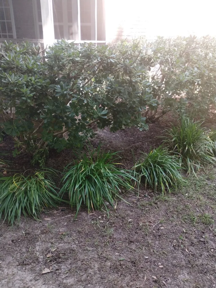 Affordable landscape installation in Ladson, SC - This Is How We Do It Yard And Home Maintenance