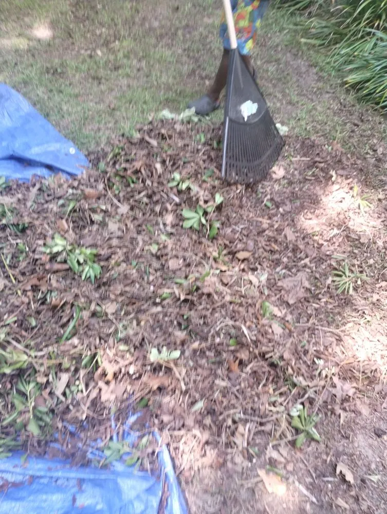 Custom lawn care service in Ladson, SC by This Is How We Do It Yard And Home Maintenance