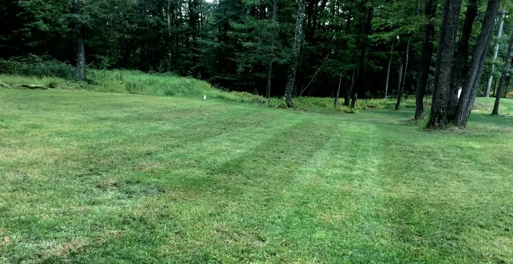 Top-rated yard cleanup service for beautiful yards in Stroudsburg, PA by This Is HOWEY Do It Property Maintenance