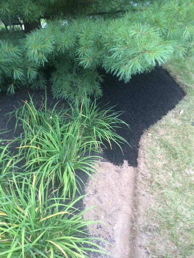 Top-rated lawn care service in Stroudsburg, PA by This Is HOWEY Do It Property Maintenance