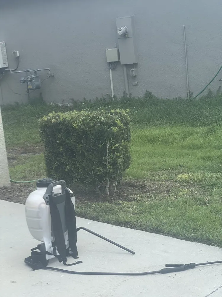 Affordable yard maintenance in Ruskin, FL by This Is It