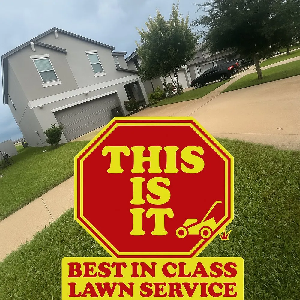 Top-rated lawn mowing service experts serving Ruskin, FL - This Is It