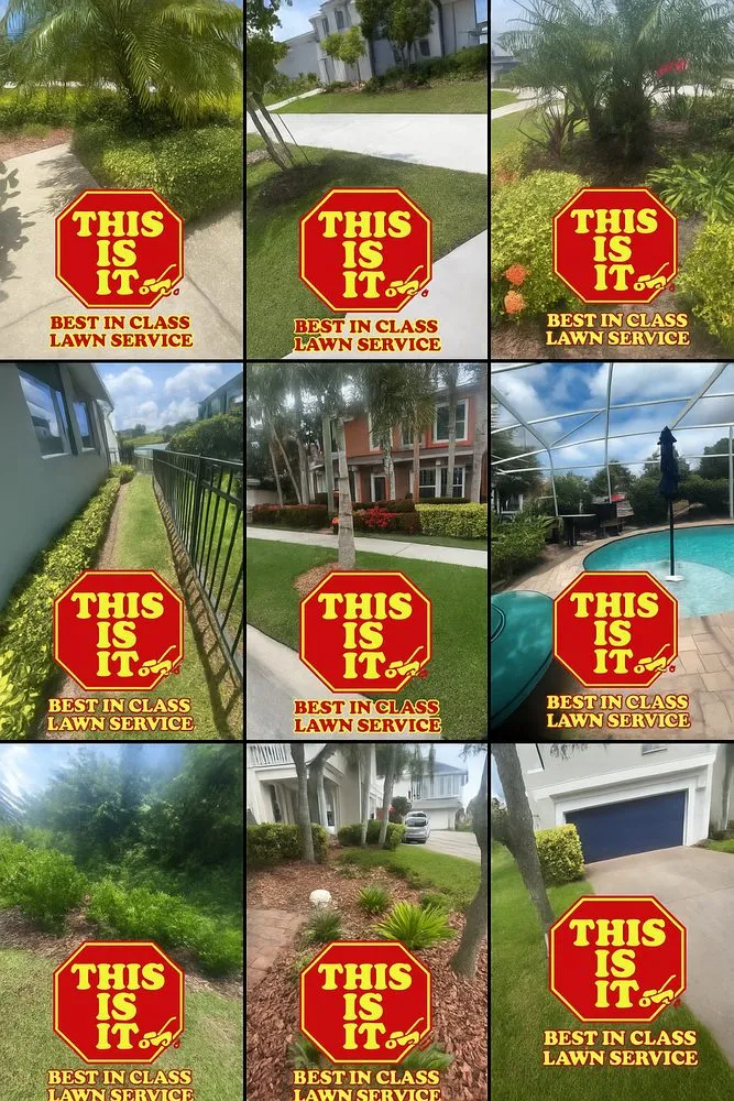 Trusted landscape installation experts serving Ruskin, FL - This Is It