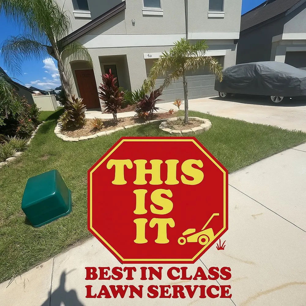 Expert outdoor landscaping for year-round maintenance in Ruskin, FL by This Is It