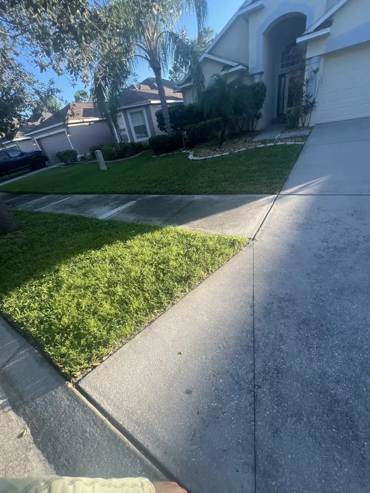 Affordable lawn care service experts serving Ruskin, FL - This Is It