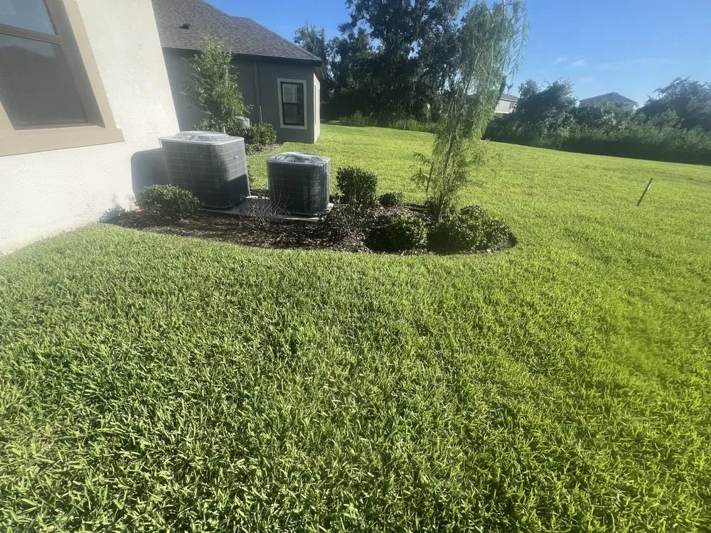 Professional yard maintenance for beautiful yards in Ruskin, FL by This Is It