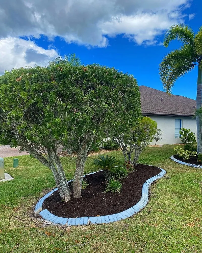 Reliable landscape design with custom design in Ruskin, FL by This Is It