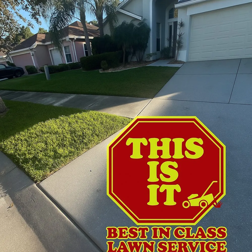 Professional outdoor landscaping for residential properties in Ruskin, FL by This Is It