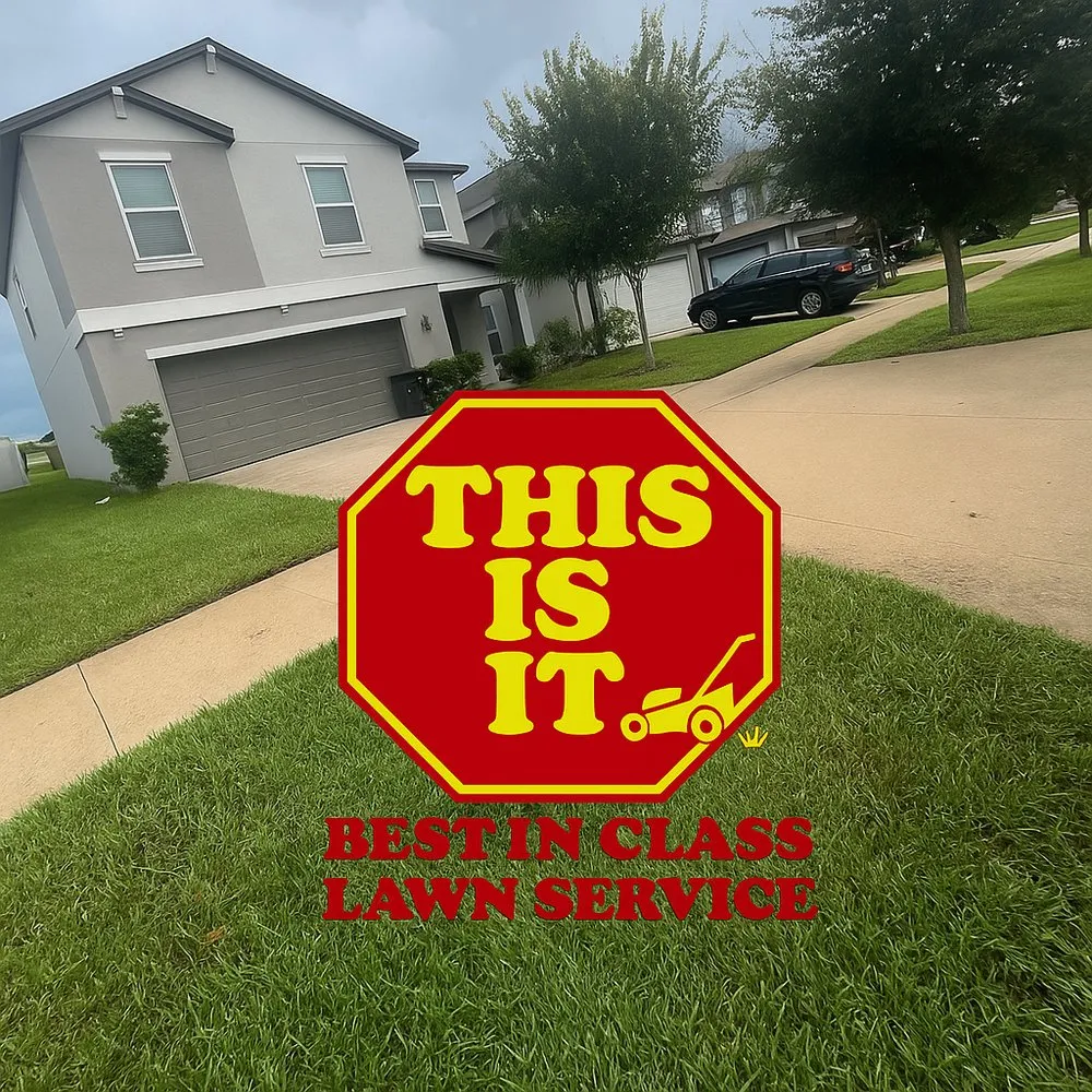 Custom outdoor landscaping for year-round maintenance in Ruskin, FL by This Is It