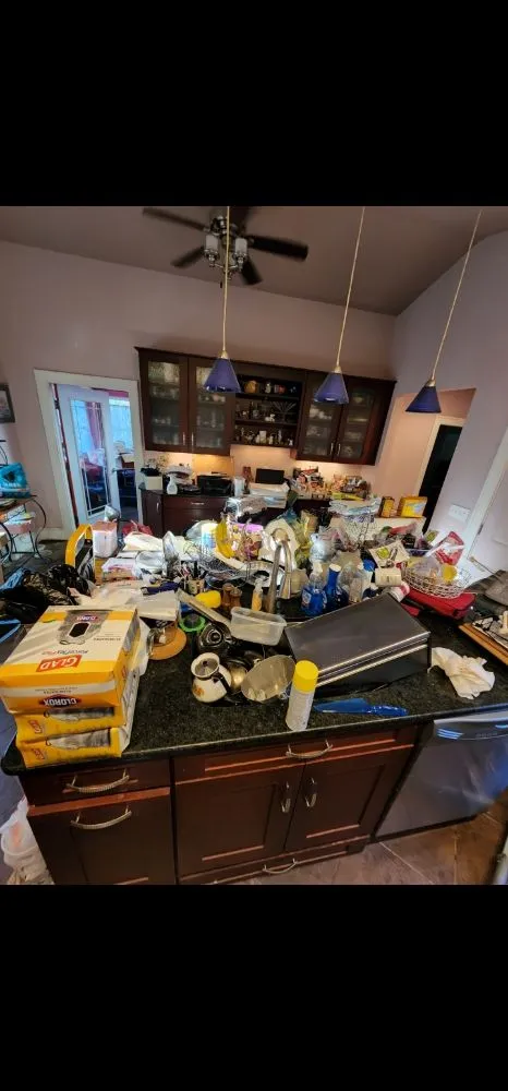 Affordable outdoor landscaping in Toledo, OH - This N That By Nicole