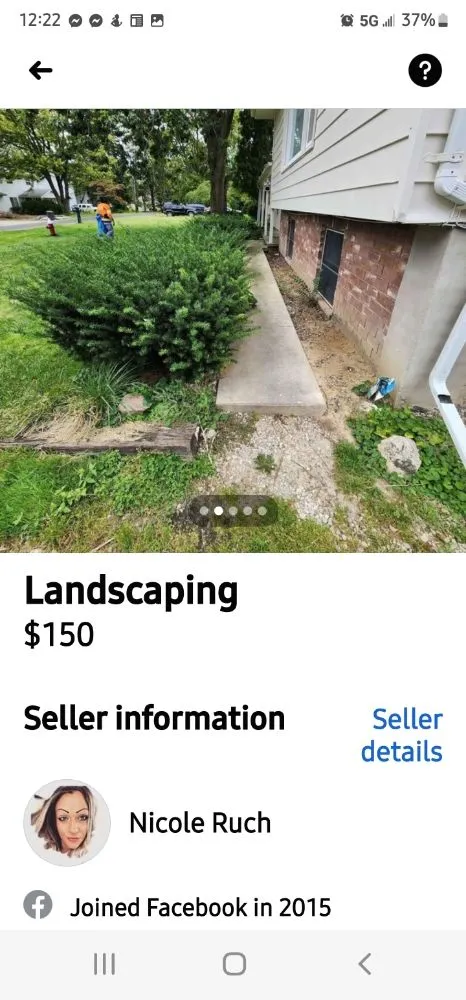 Custom lawn care service experts serving Toledo, OH - This N That By Nicole