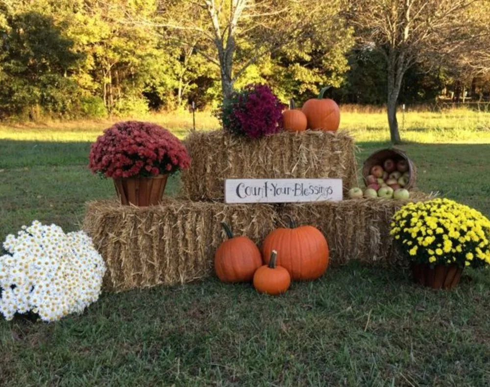 Top-rated outdoor landscaping for outdoor upgrades in Toledo, OH by This N That By Nicole