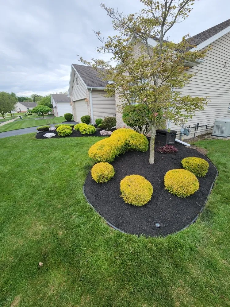 Top-rated landscape installation for beautiful yards across Toledo, OH - This N That By Nicole
