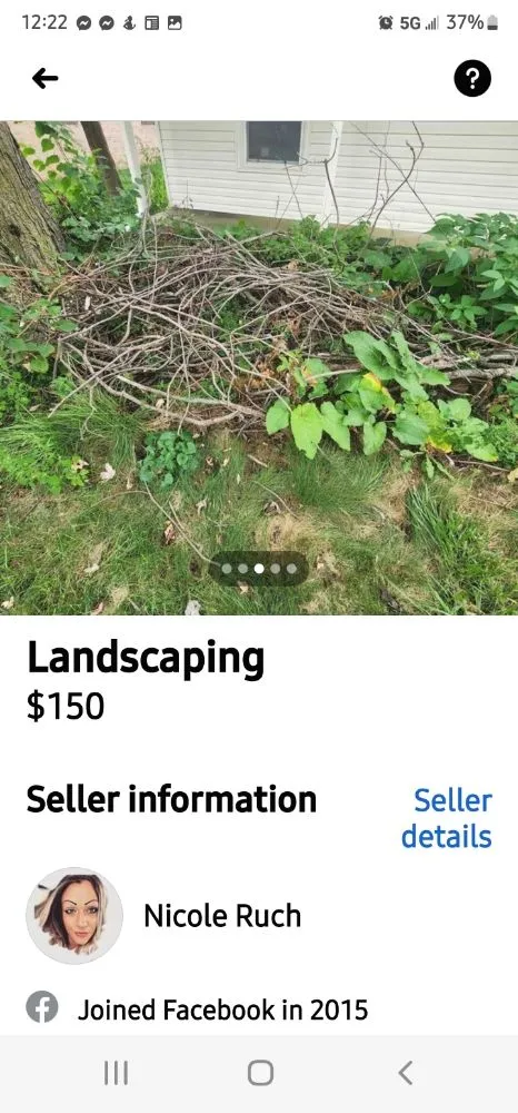 Top-rated lawn mowing service experts serving Toledo, OH - This N That By Nicole