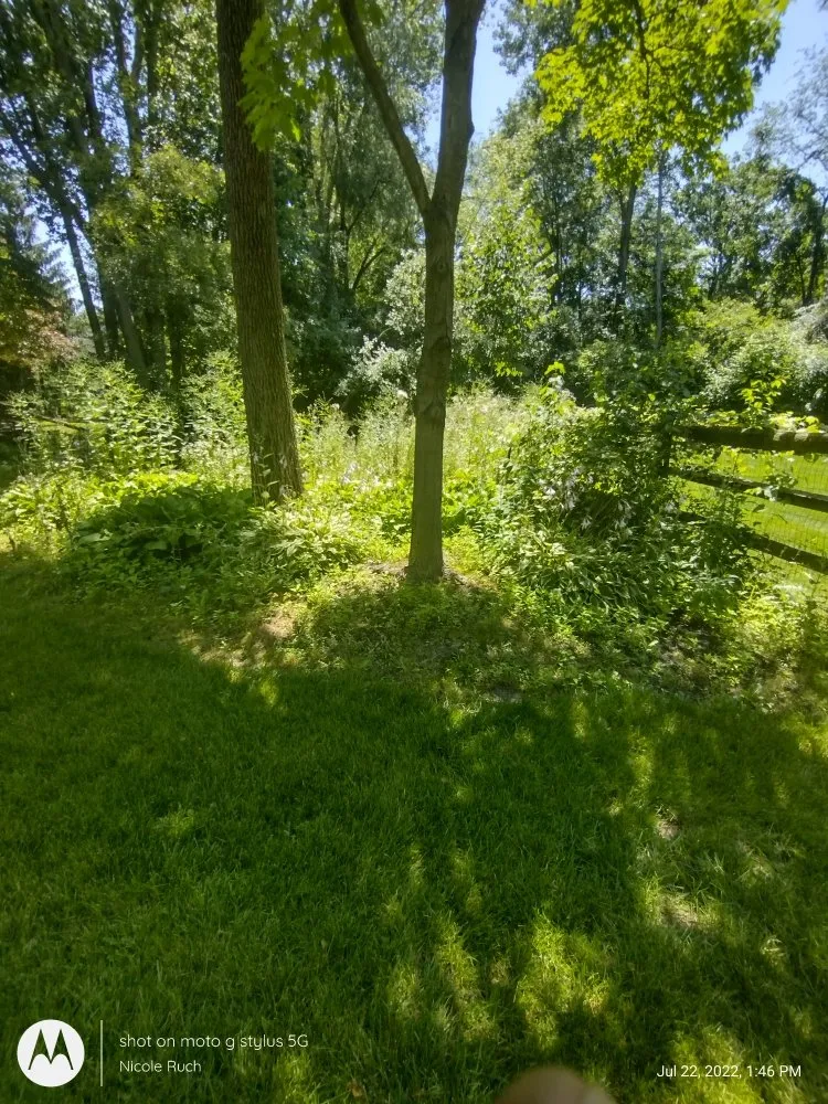 Affordable garden landscaping in Toledo, OH by This N That By Nicole