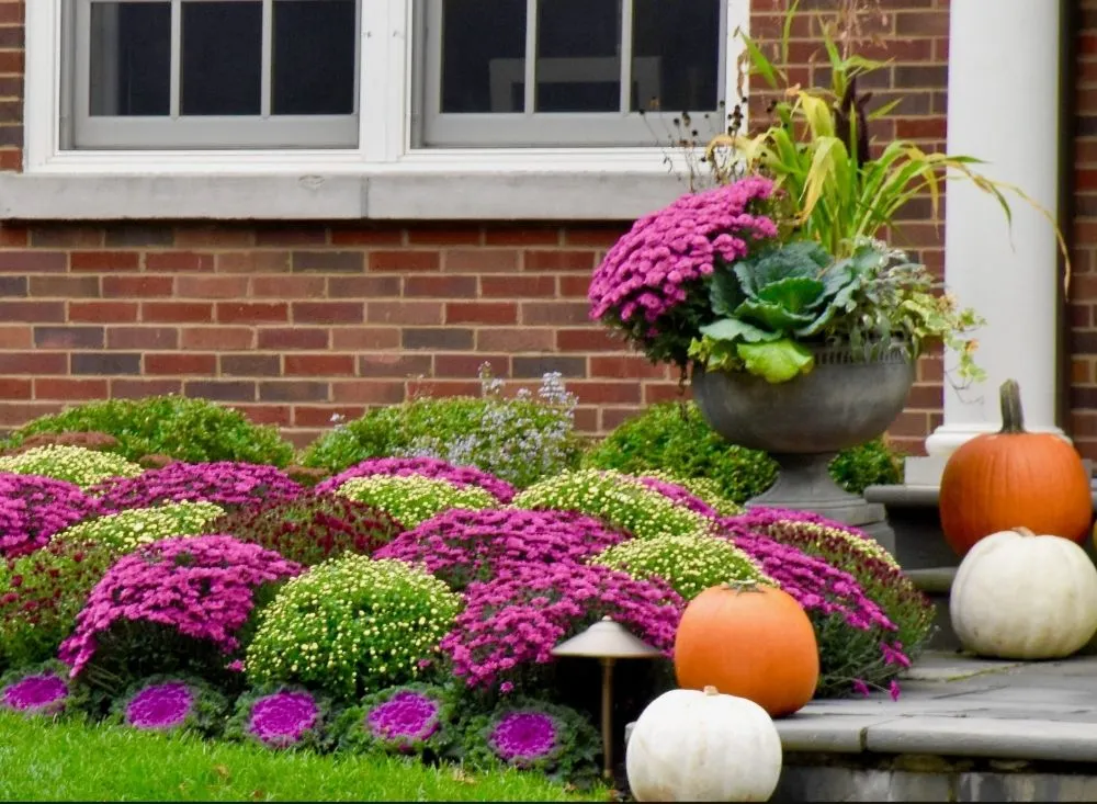 Reliable residential landscaping in Toledo, OH by This N That By Nicole