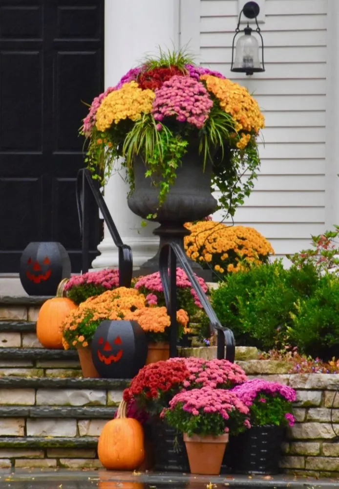 Reliable outdoor landscaping in Toledo, OH by This N That By Nicole