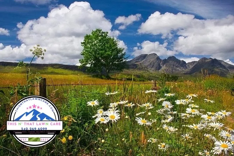 Custom garden landscaping near you across Covington, VA - This N’ That Lawn Care