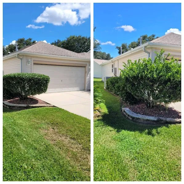 Affordable yard cleanup service near you in Oxford, FL by Thistle Lawn Care Service