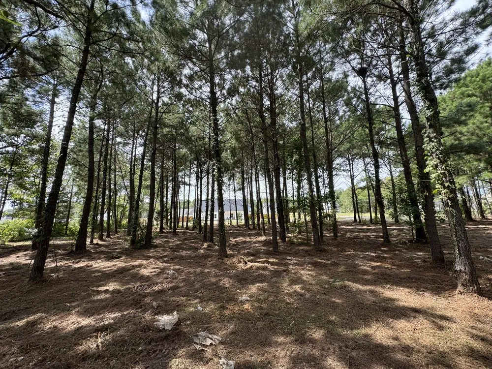 Reliable yard cleanup service in Hampstead, NC - THK Earth Works