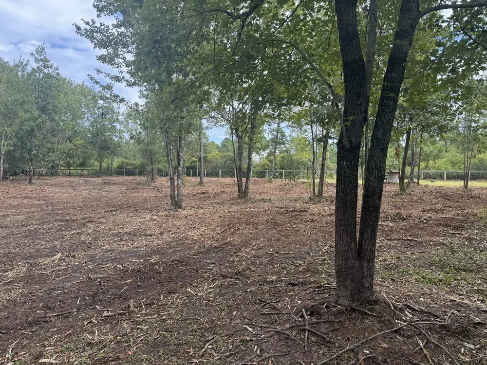 Professional landscaping services near you across Hampstead, NC - THK Earth Works