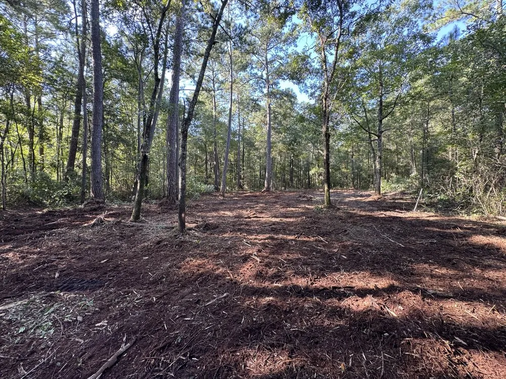 Top-rated landscaping services for year-round maintenance in Hampstead, NC by THK Earth Works