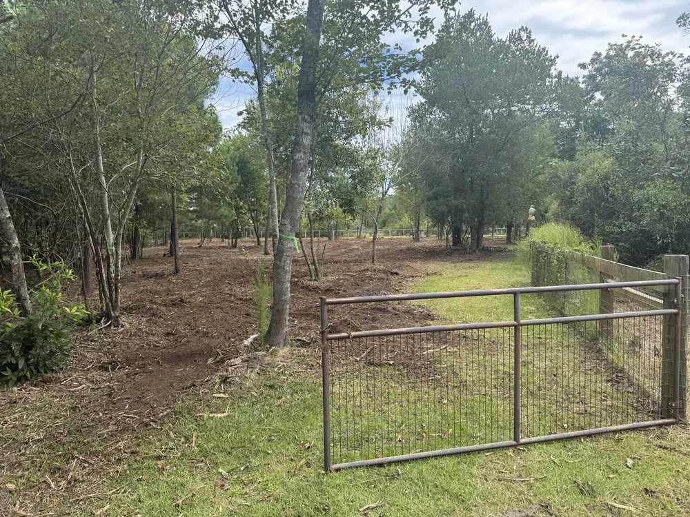 Trusted yard cleanup service with custom design across Hampstead, NC - THK Earth Works