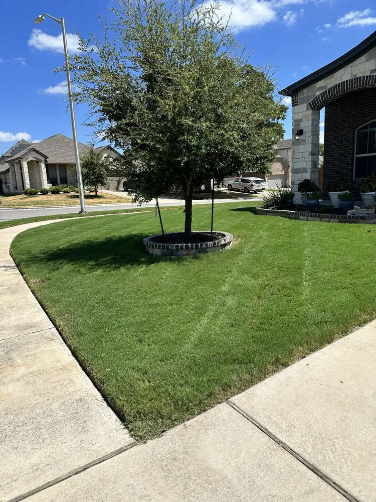 Local lawn mowing service in Houston, TX - THL Blue