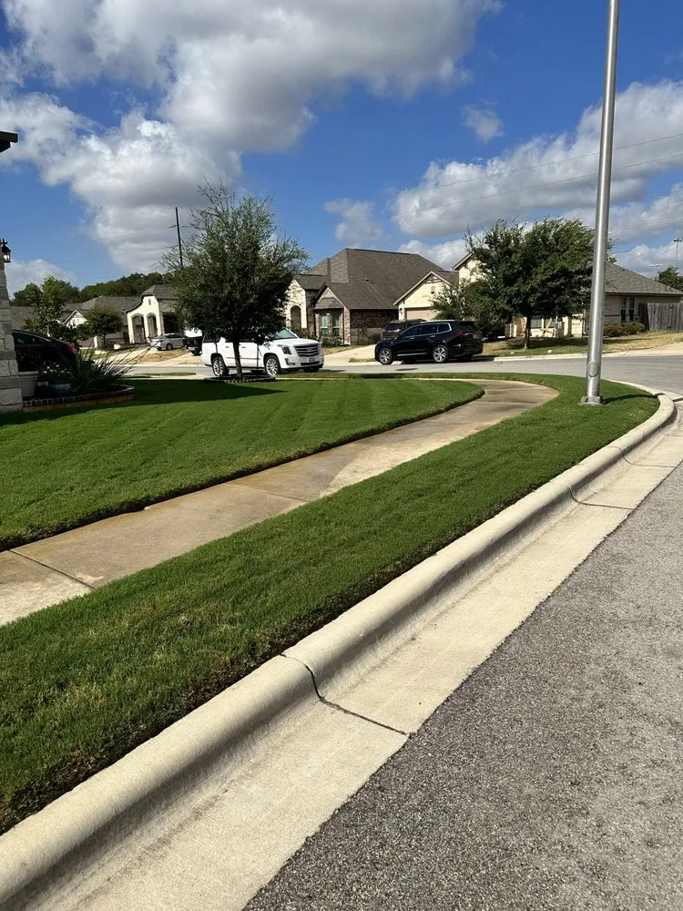 Affordable landscape installation with custom design across Houston, TX - THL Blue