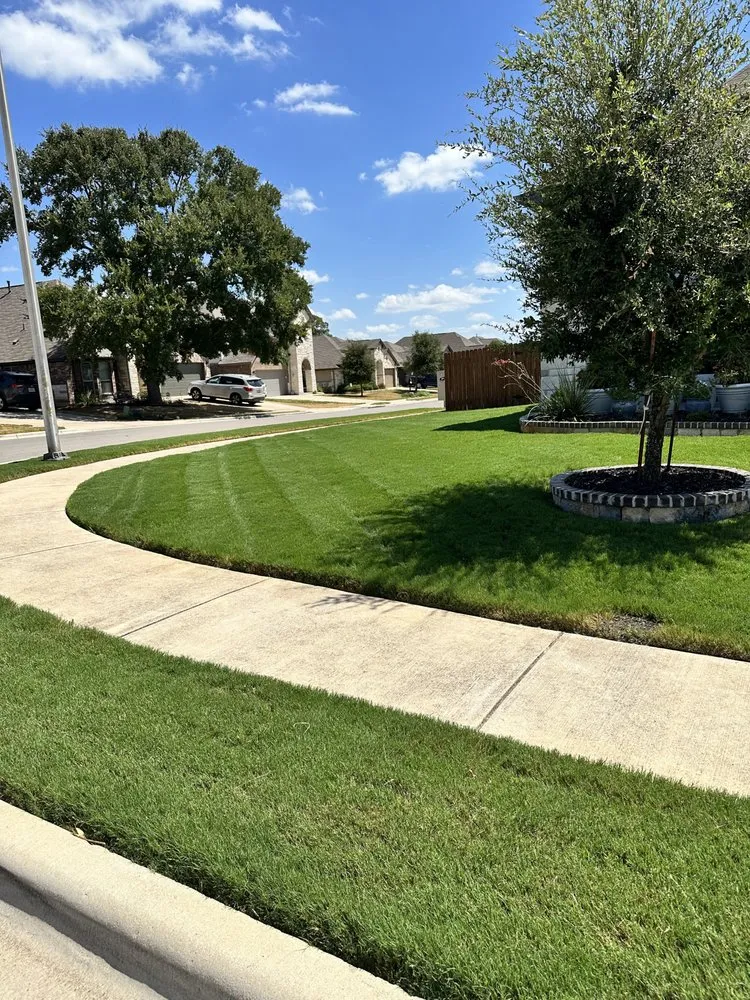 Trusted landscaping services for beautiful yards across Manchaca, TX - THL Blue