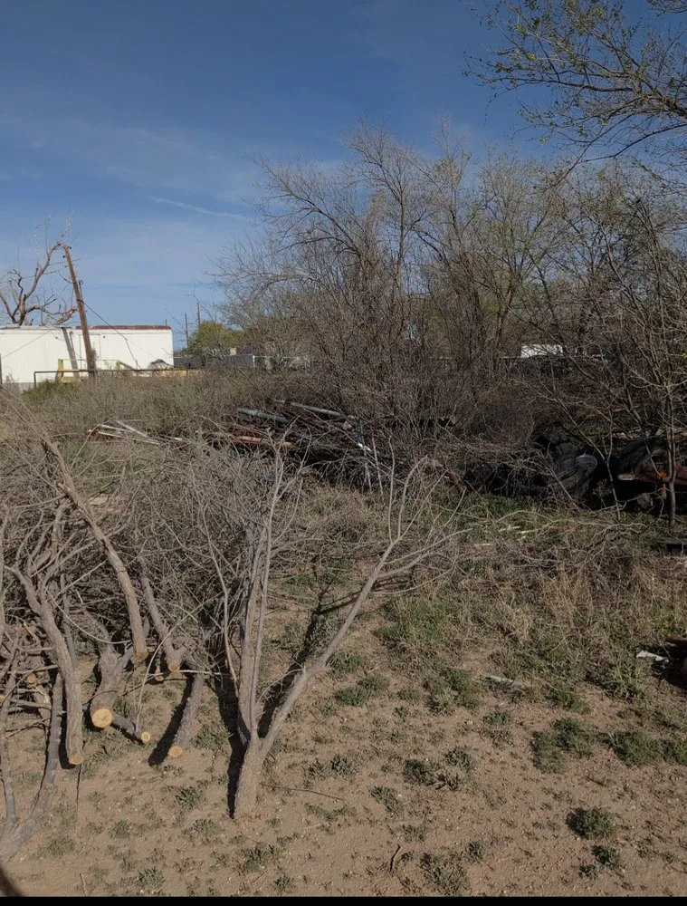 Professional yard maintenance for outdoor upgrades across Odessa, TX - TH&L Service