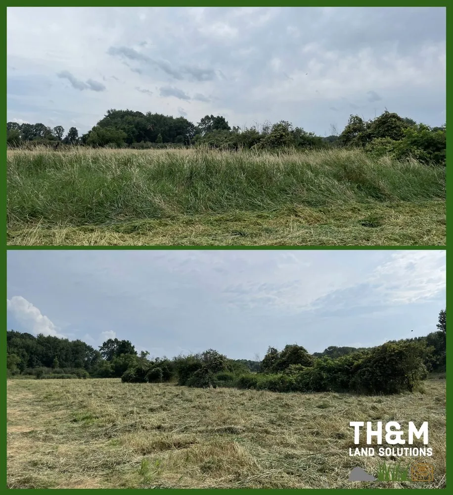 Affordable landscape design in Rittman, OH by TH&M Land Solutions