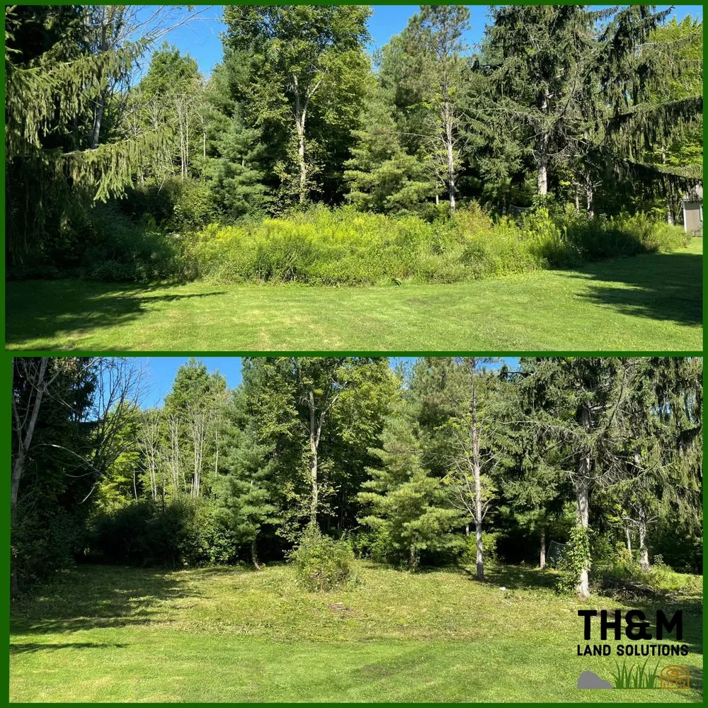 Expert landscape design for beautiful yards across Rittman, OH - TH&M Land Solutions