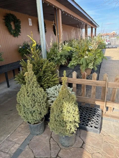 Reliable garden landscaping experts serving Bourbonnais, IL - Tholens' Landscape & Garden Center