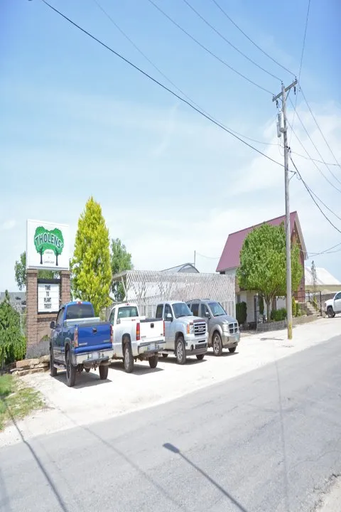 Top-rated residential landscaping experts serving Kankakee, IL - Tholens Landscape & Garden Center