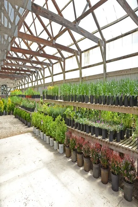 Affordable lawn mowing service in Kankakee, IL by Tholens Landscape & Garden Center