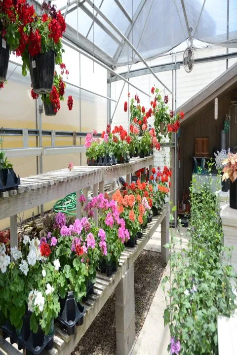 Top-rated garden landscaping in Kankakee, IL - Tholens Landscape & Garden Center