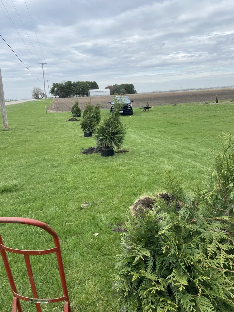 Expert yard maintenance in Kankakee, IL by Tholens Landscape & Garden Center