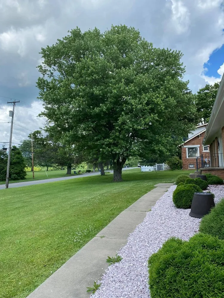 Trusted lawn mowing service experts serving Beaver Falls, PA - Thomas & Co Lawncare